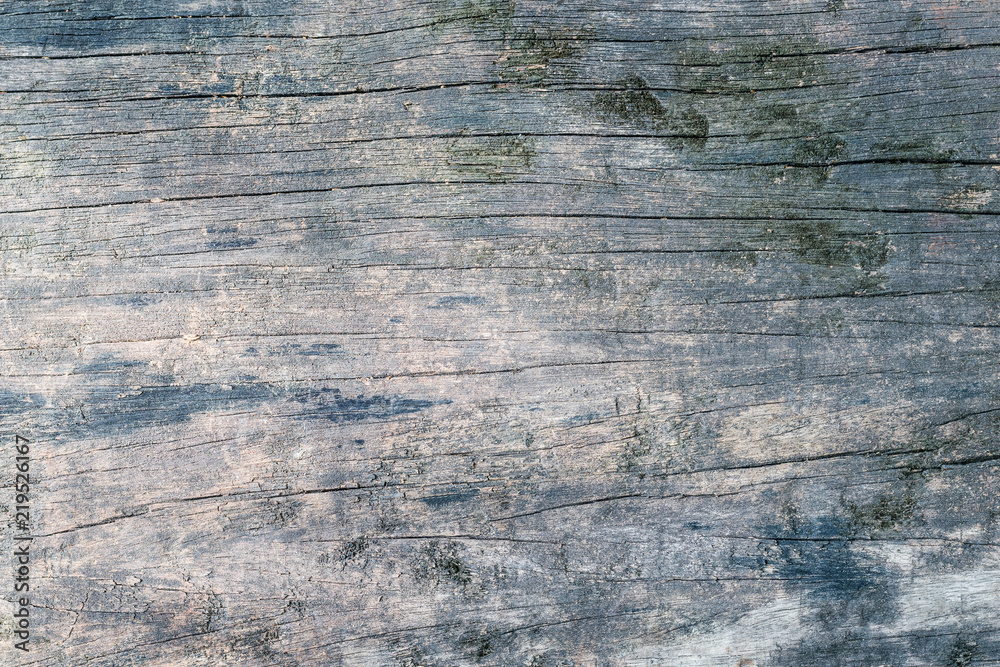 Naklejka premium Rustic wood texture background dark old color