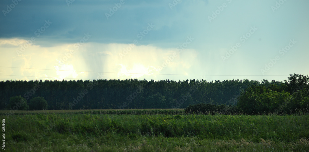 Clouds forming a storm over forest in distance