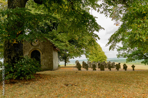 paysage nature forêt herbe terre landscape 