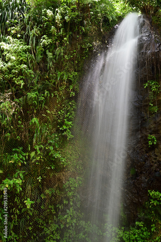 Toraille waterfall in Saint Lucia