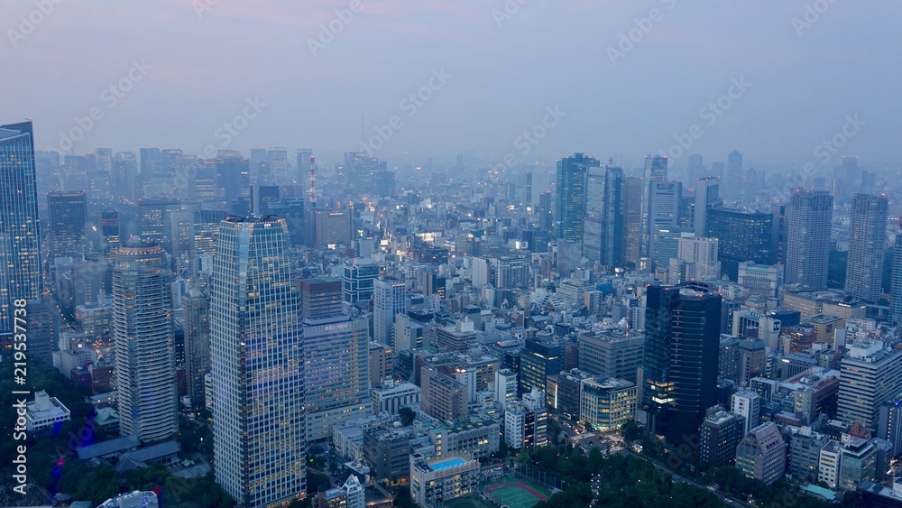 Tokyo / Tokio Stadtübersicht, Megametropole von oben