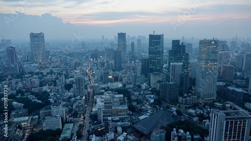 Tokyo / Tokio Stadtübersicht, Megametropole von oben © Omm-on-tour