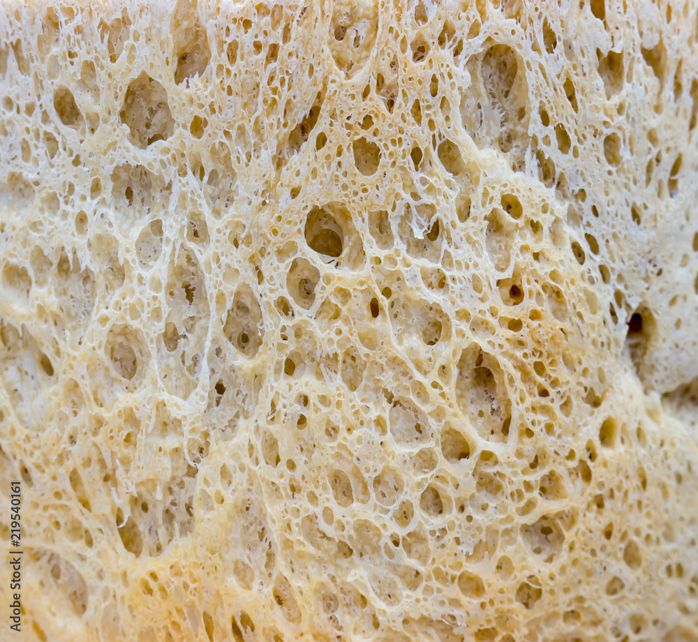 Bread texture.