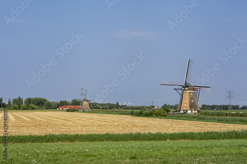 Historians Dutch windmills near the river Rotte, Rotterdam