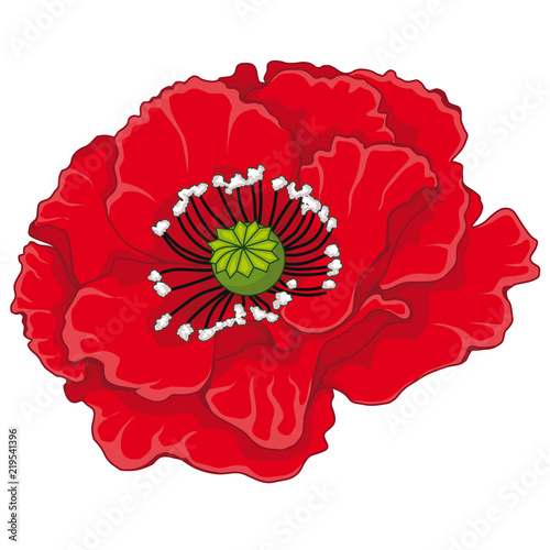 Fototapeta Naklejka Na Ścianę i Meble -  Red poppy blossoms. Stock illustration. Isolated image on white background. The symbol of memory.
