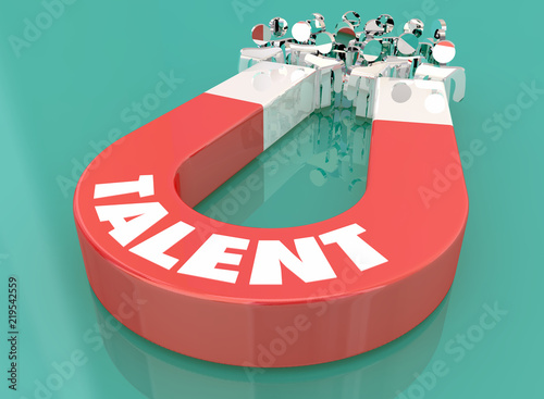 Vászonkép Talent Skill Experience Magnet Pulling People 3d Illustration