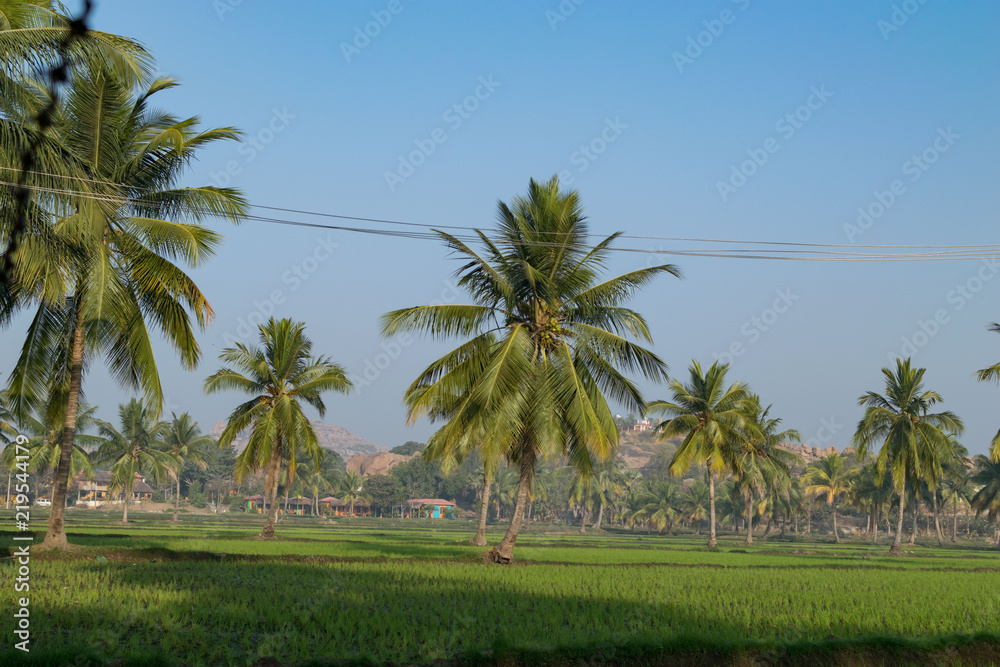 Obraz premium Vien in Hampi village, India
