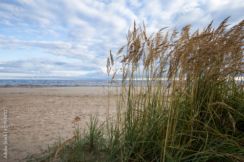 Fototapeta Naklejka Na Ścianę i Meble -  Clouds and wind over the sandy empty beach
