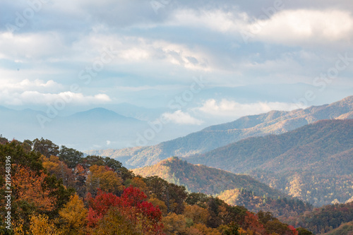 Beautiful fall colors trees and mountain vista autumn cloudy day, copy space, horizontal aspect