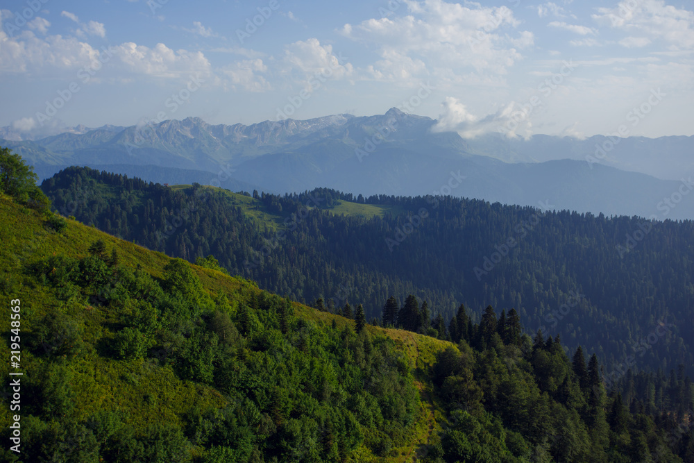 Roza Khutor Plateau Summer Alpine Ski Resort Landscape, Sochi, Russia. Close Up Of Alpine Meadow On A Background Of Caucasian Mountains Roza Khutor Plateau Summer Alpine Ski Resort Landscape, Sochi, Russia. Close Up Of Alpine Meadow On A Background Of Caucasian Mountains