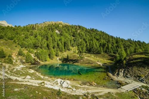 Blue Mountain Lake with Green Pine Forest on a Sunny Morning.