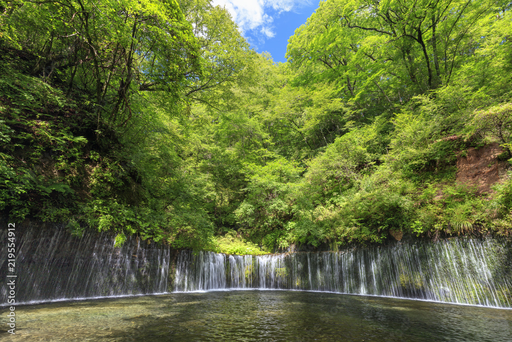 Summer Karuizawa Shiraito Falls