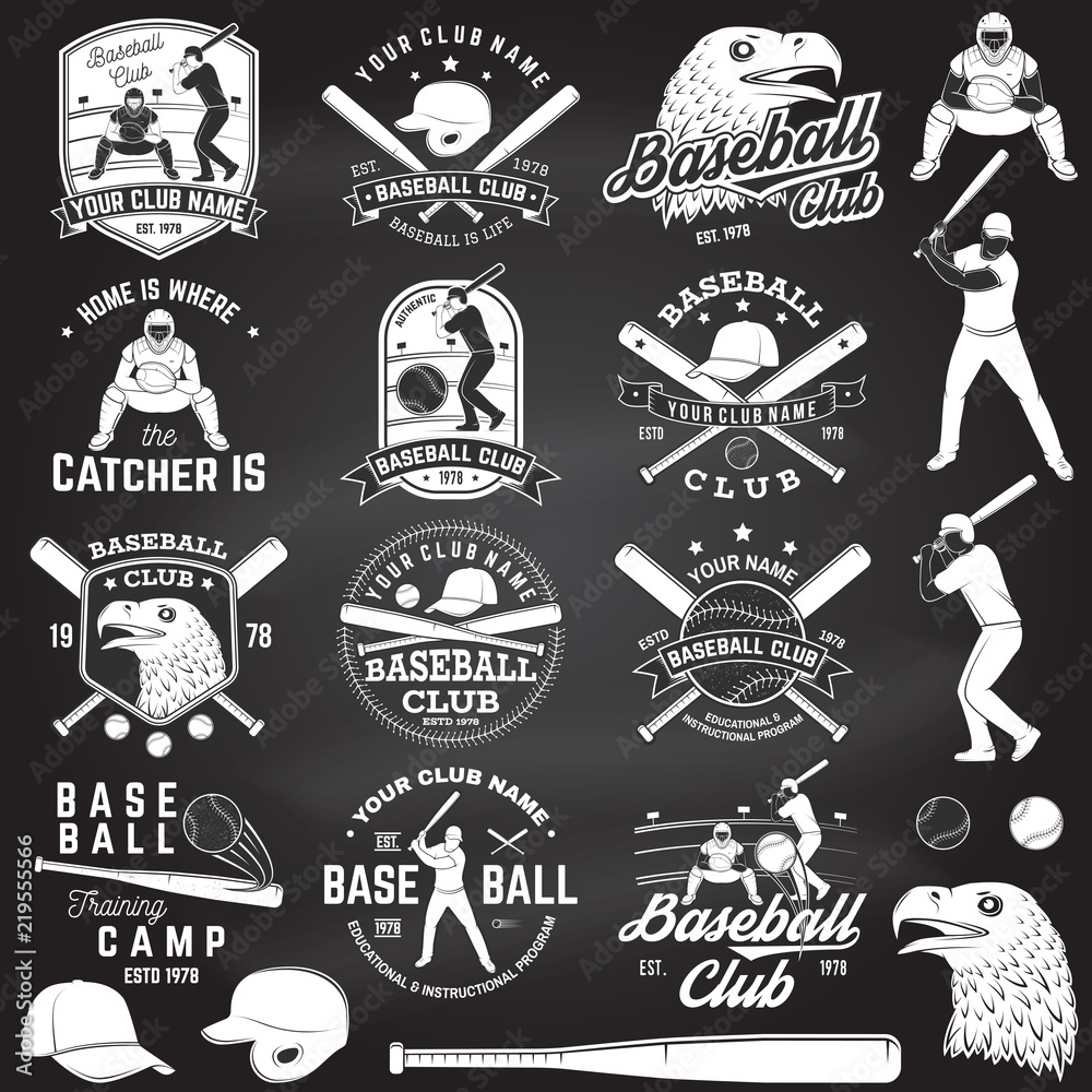 Fototapeta premium Baseball club badge. Vector illustration. Concept for shirt or logo, print, stamp or tee.