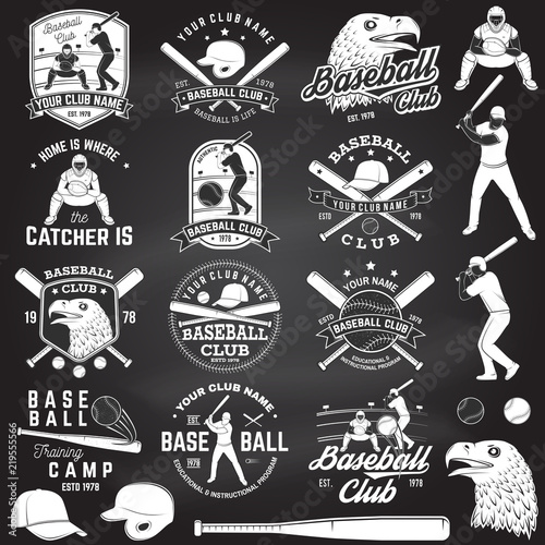Baseball club badge. Vector illustration. Concept for shirt or logo, print, stamp or tee.