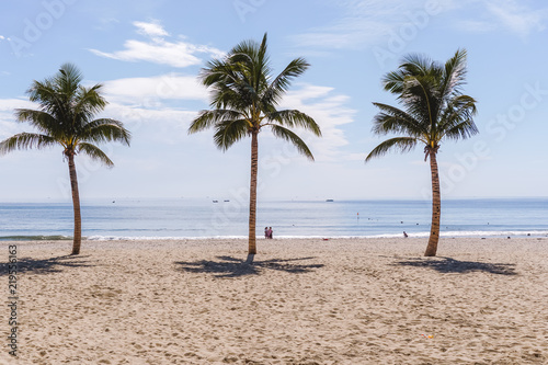 Three Palms trees in front of a beach on a sunny day in Central Vietnam