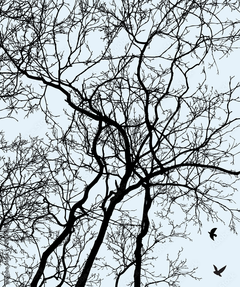Vector image of tree silhouettes in cold season Vector image of tree silhouettes in cold season