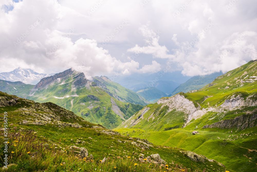 Wild Mountain Flowers and Landscape with Shelter and Lake in the Background.