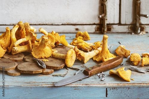 Raw uncooked Chanterelles forest mushrooms on blue white wooden kitchen table with garlic and knife. Rustic style, day light, copy space