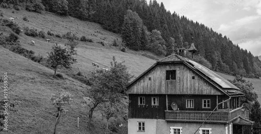 custom made wallpaper toronto digitalscharz weiß