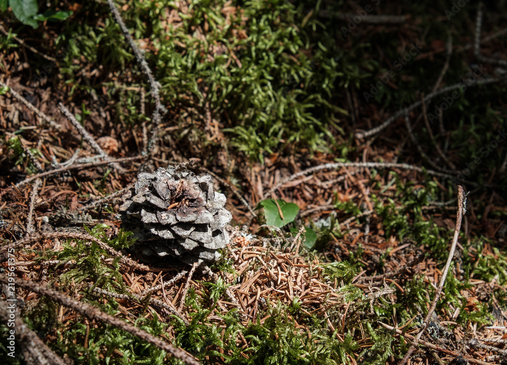 Obraz premium Relaxing