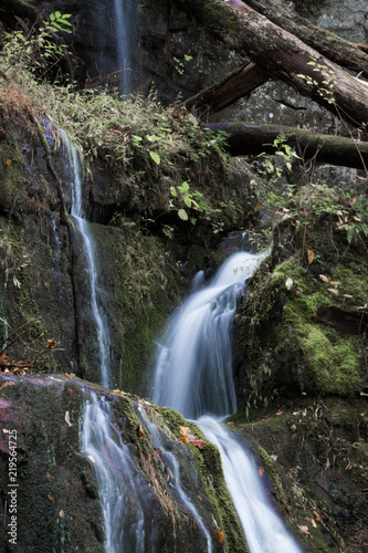 Multiple streams of water cascading over moss covered rocks in a mountain landscape  vertical aspect