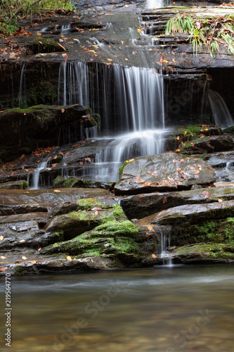 Small waterfall over wet rocks covered in moss and autumn leaves flowing into a stream below, vertical aspect