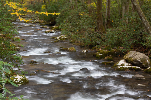 View down rushing mountain stream with autumn leaves and rhododendrons, Great Smoky Mountains, horizontal aspect