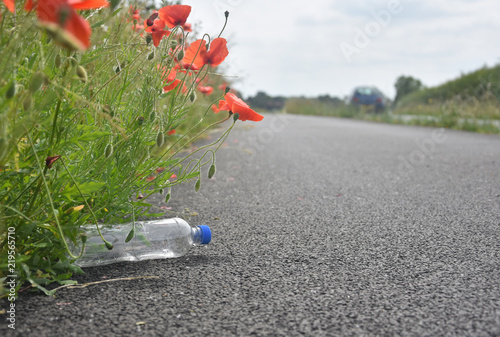 Discarded plastic bottle lying at path side amongst poppy flowers as car speeds by