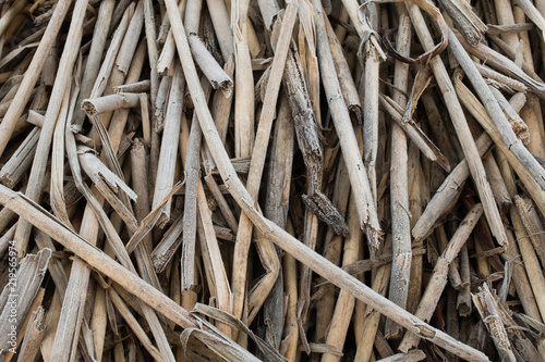 Background of dry wood sticks