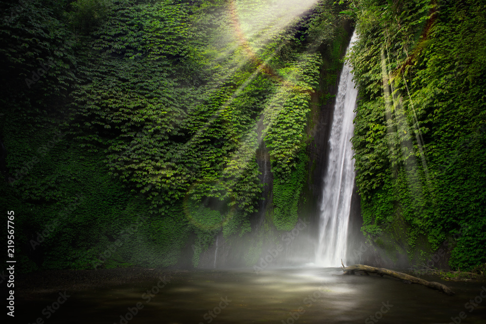 Waterfall hidden in the tropical jungle. Munduk, Bali, Indonesia