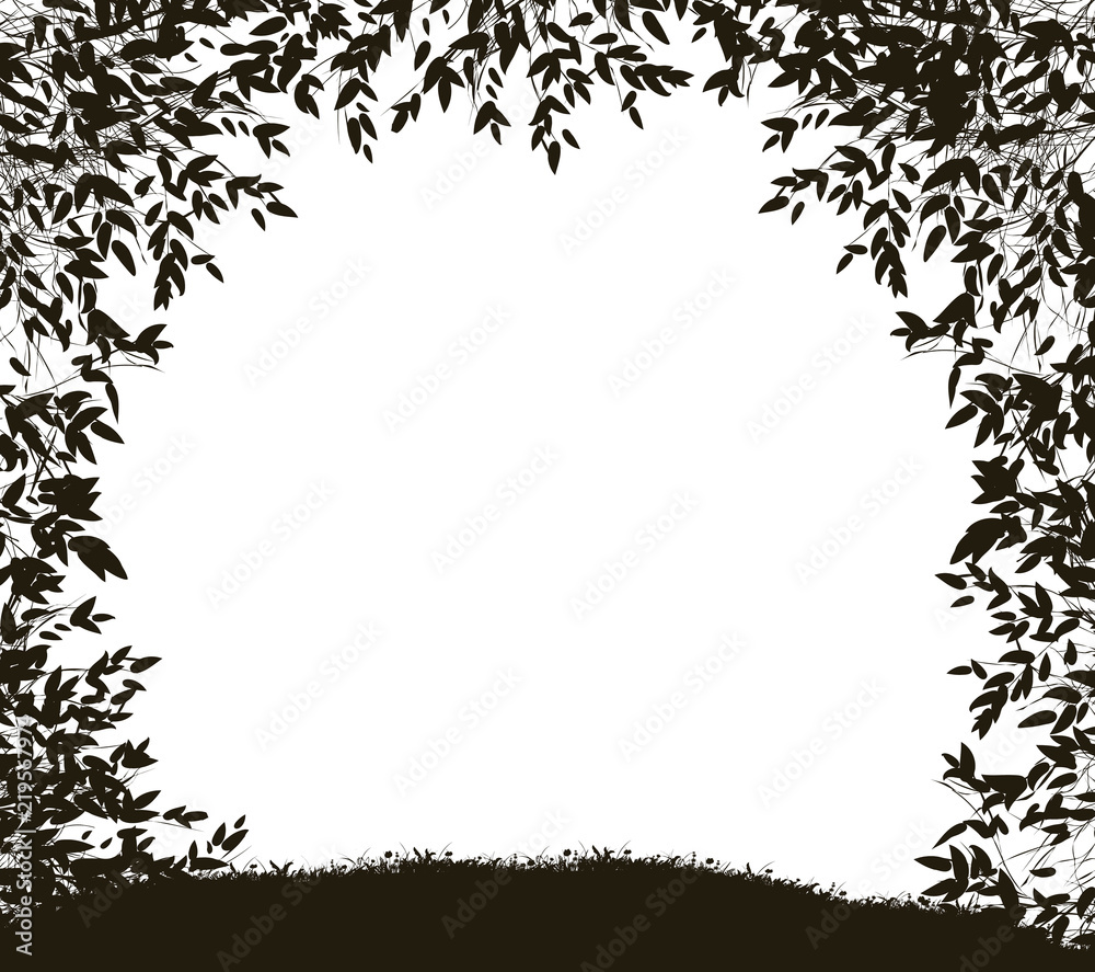 Obraz premium Way from the forest, shadows, forest