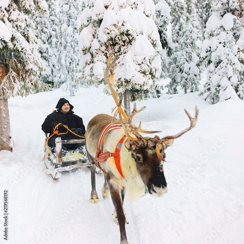 Man in Reindeer Sled in Snow Forest Rovaniemi Finland Lapland