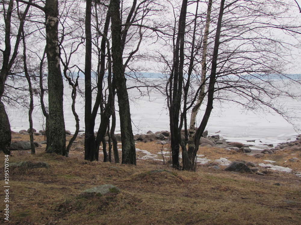 Stony sea shore in early spring, gloomy landscape Stony sea shore in early spring, gloomy landscape