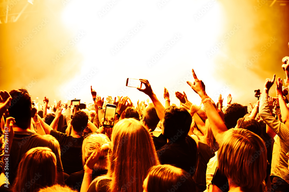 cheering crowd at rock concert in front of bright lights