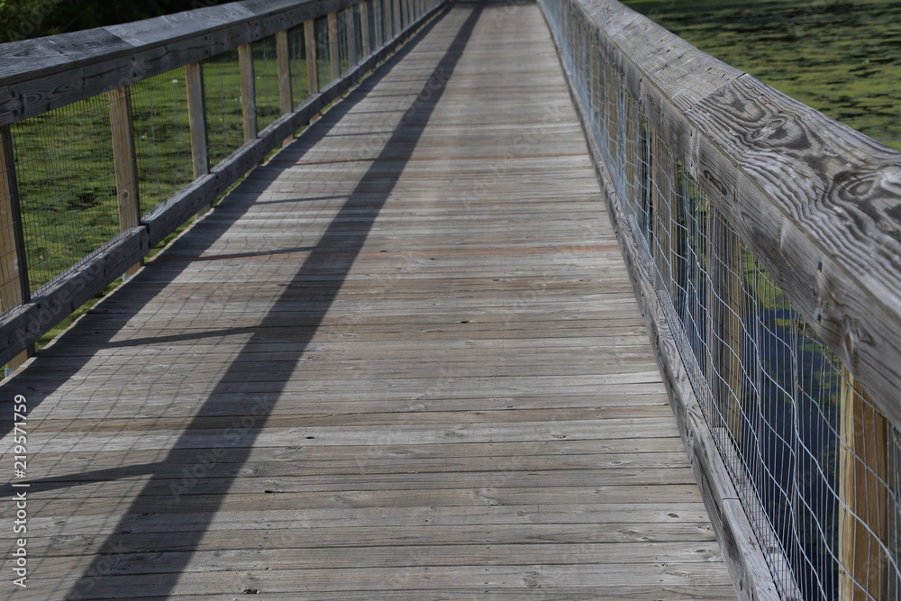 A footbridge in the park