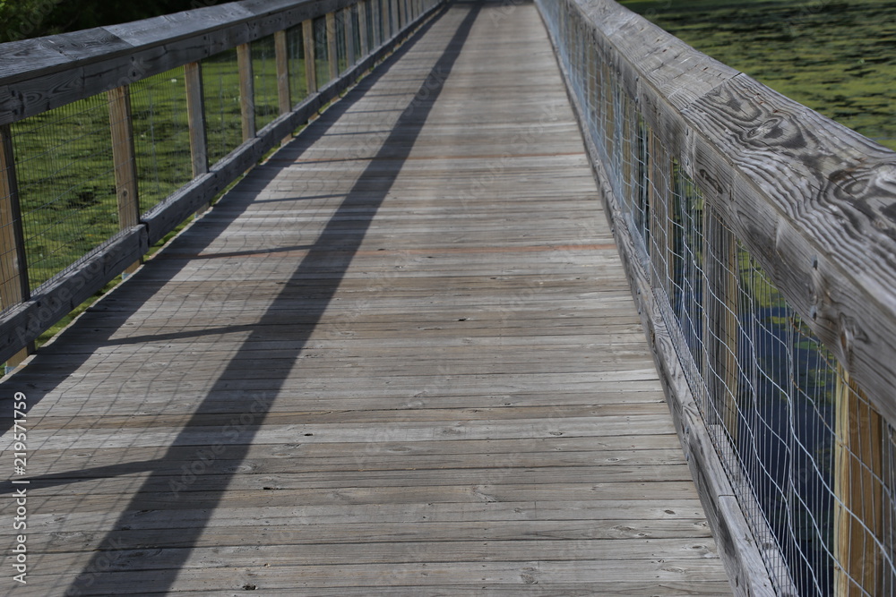 A footbridge in the park A footbridge in the park