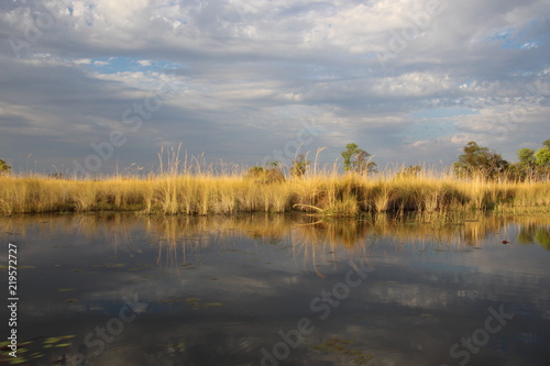 Okavango Botswana