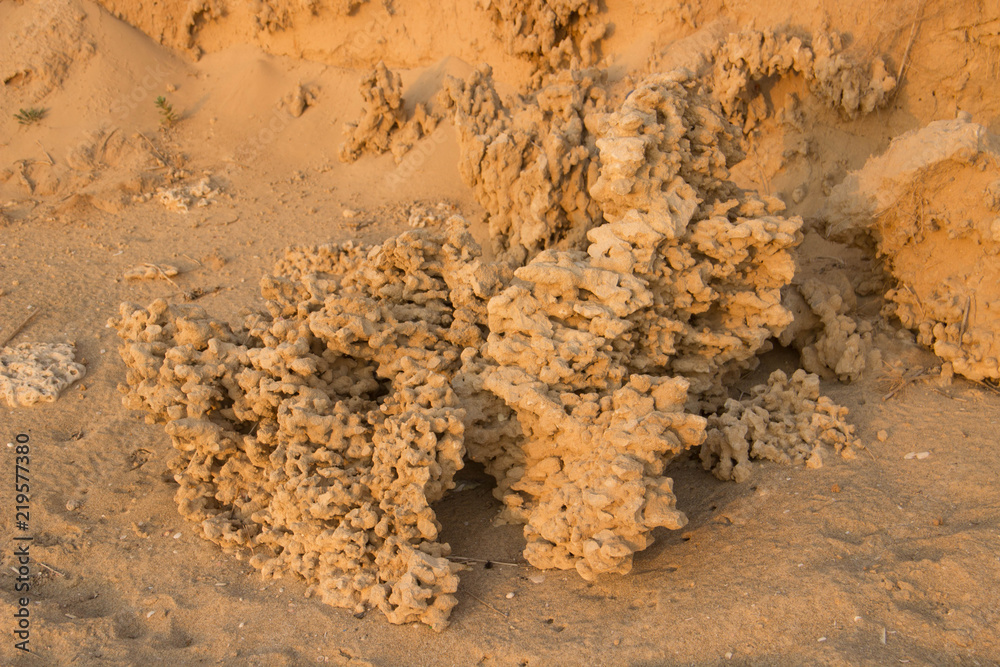 Fototapeta premium Interesting structures created by the wind from the sand on the Mediterranean coast