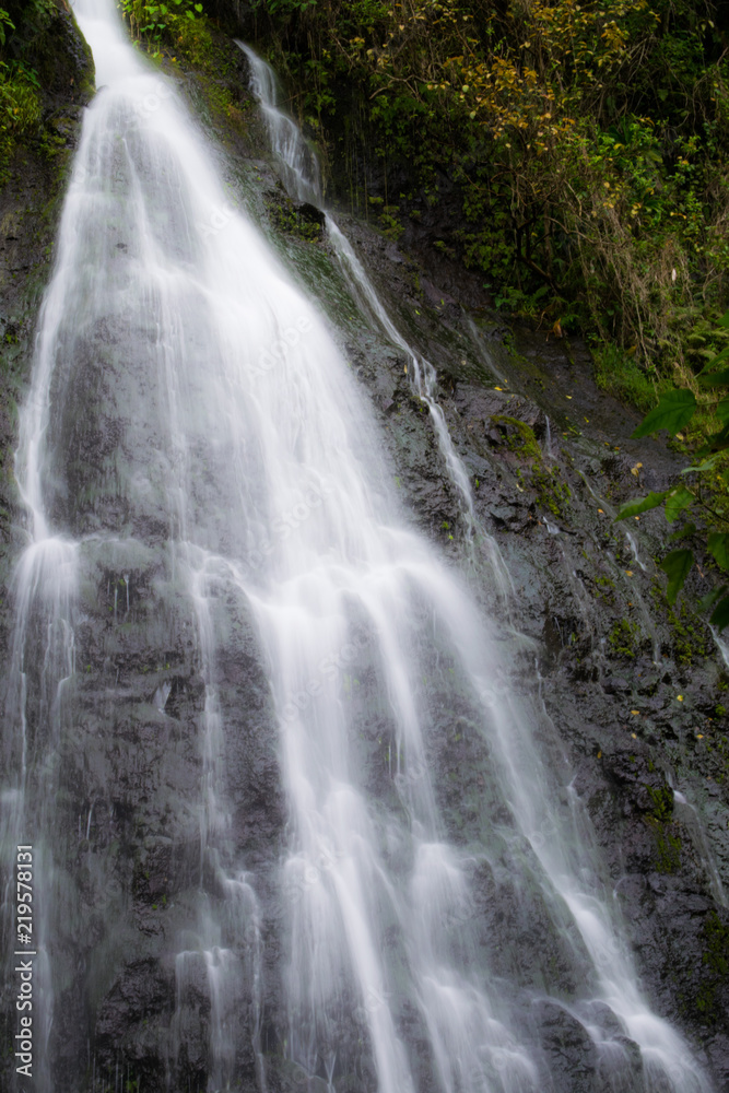 Fototapeta premium Milky Flow