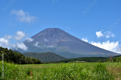Mt. Fuji in the summer © teru0117105