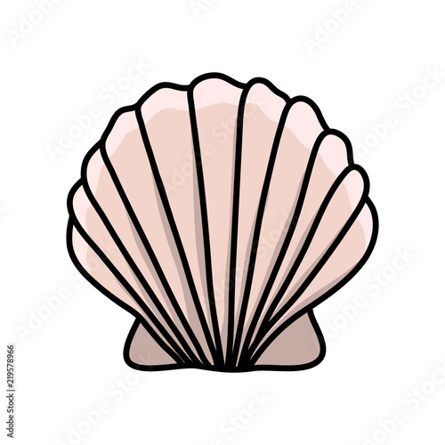 Scallop sea shell. Hand drawn illustration vector.