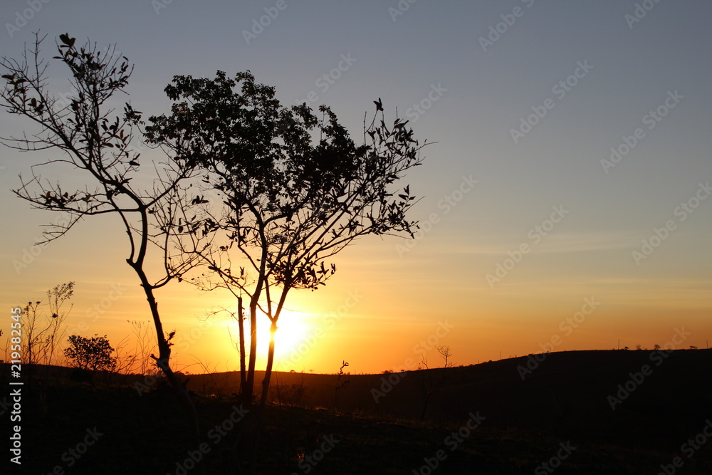 sunset sunset