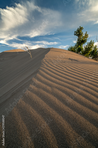 Fototapeta Naklejka Na Ścianę i Meble -  Close up of a sand dune with ripples in the sand and wispy clouds