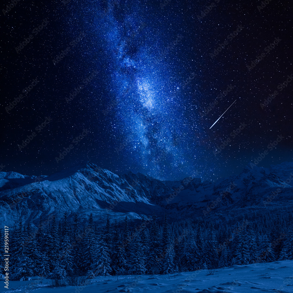 Fototapeta premium Falling star and Tatras Mountains in winter at night, Poland
