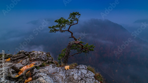 Blue dawn at Sokolica peak in Pieniny mountains, Poland
