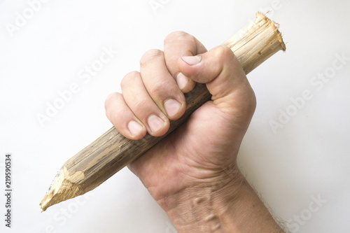 Fotografija Wooden stake in a hand on a white background.