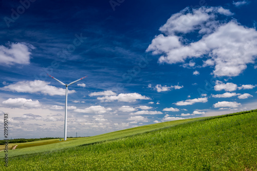 Ecological wind turbines on green field in summer