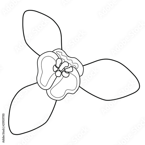 Snowdrop blossoms. Coloring book. Stock illustration. Isolated image on white background. 