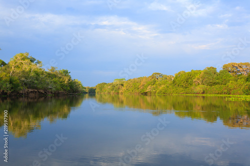 Panorama from Pantanal, Brazilian wetland region.