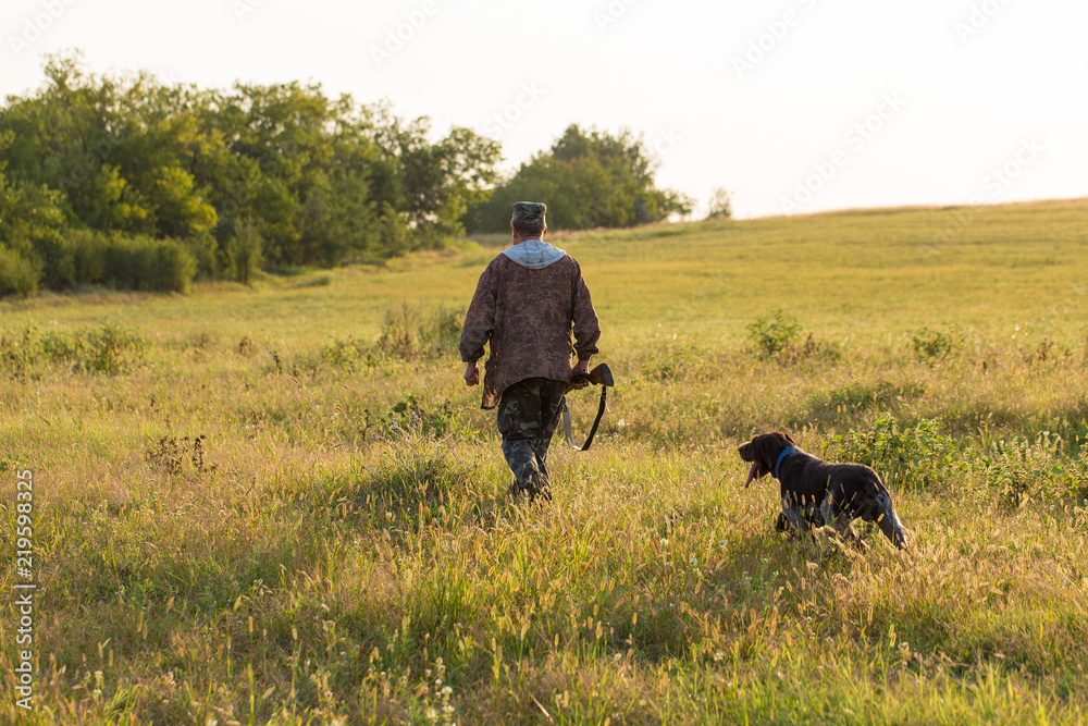 Hunter with a German trotter and spaniel, hunting a pheasant with dogs Hunter with a German trotter and spaniel, hunting a pheasant with dogs